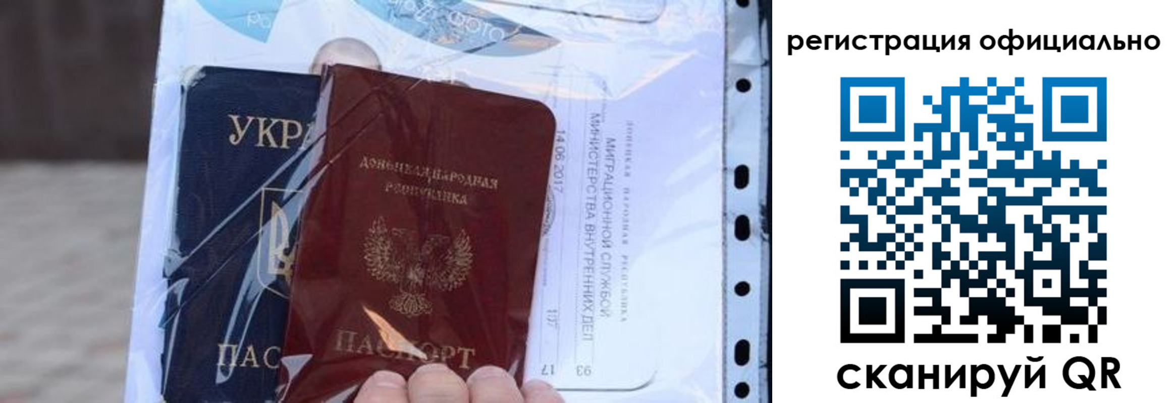 прописка поиск в Елизово