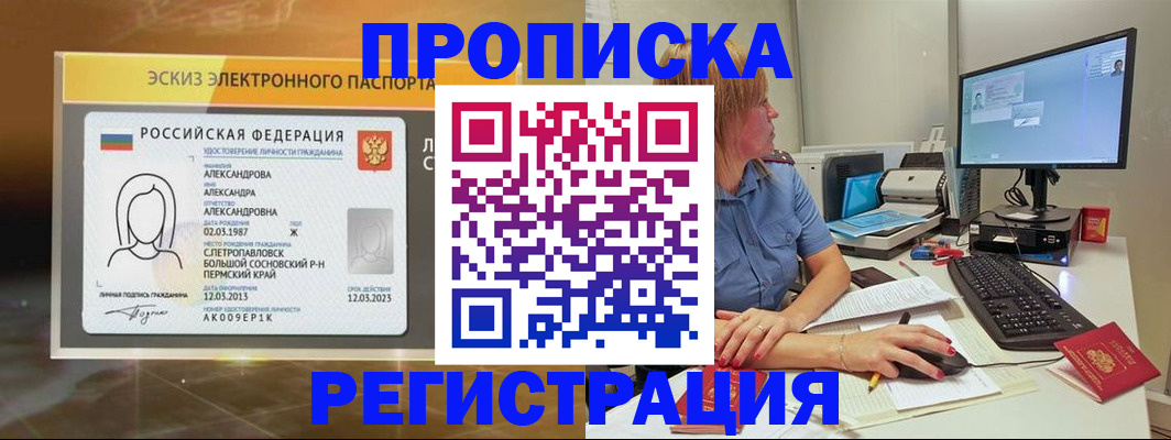 прописка 2025 в Елизово